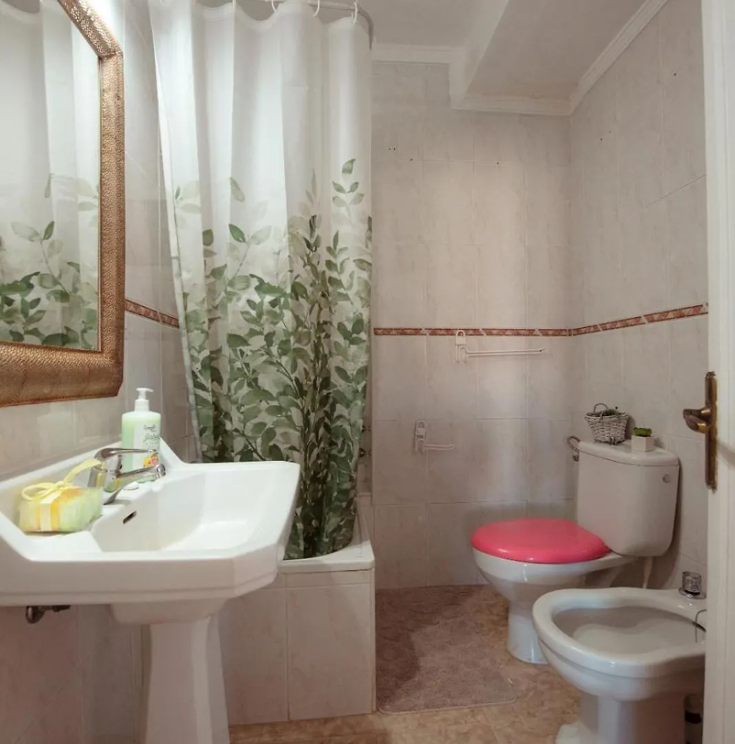 Centric Room In A Cozy Apartment Málaga Alloggio in famiglia